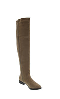 WOMAN'S SHOES TAUPE SUEDE BOOTS KRYSTEN-10